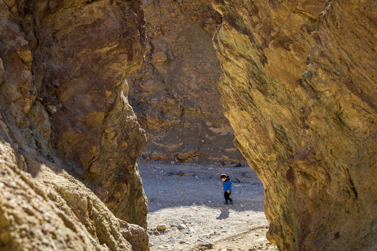 The Canyon to Old Ben’s